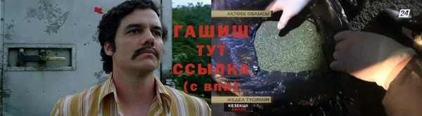 шишки Балахна