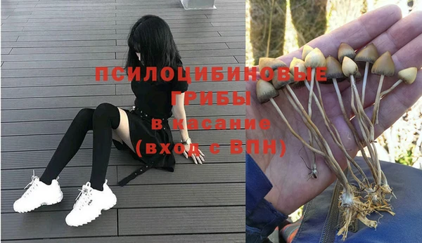 шишки Балахна