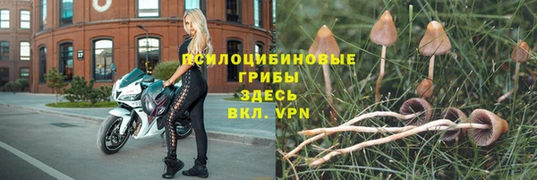 гидропоника Балабаново