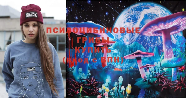 шишки Балахна